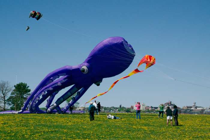 20170521_1554_Kite_Festival