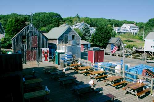 20170811_3372_Seguin_Puffin_Watch