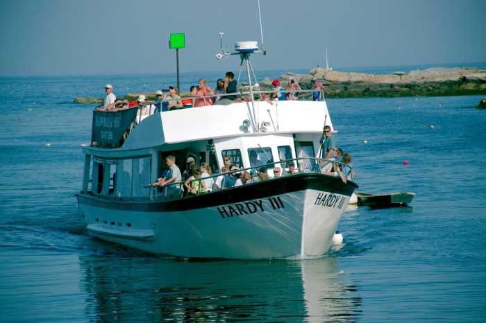 20170811_3381_Seguin_Puffin_Watch