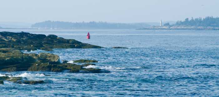 20170811_3450_Seguin_Puffin_Watch