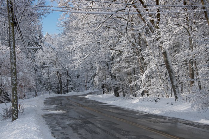 20180218-DSC_1185-0190